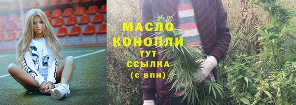 хмурый Вяземский