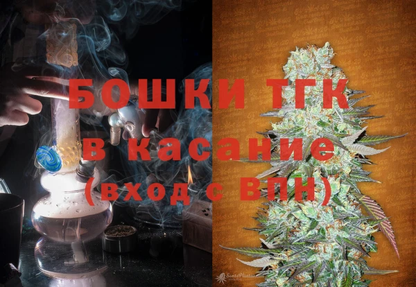 хмурый Вяземский