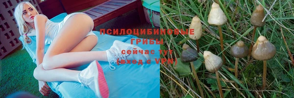 хмурый Вяземский