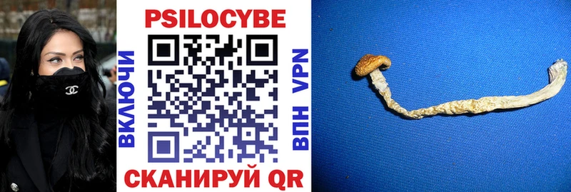 Галлюциногенные грибы мухоморы  Купить где  Куйбышев 